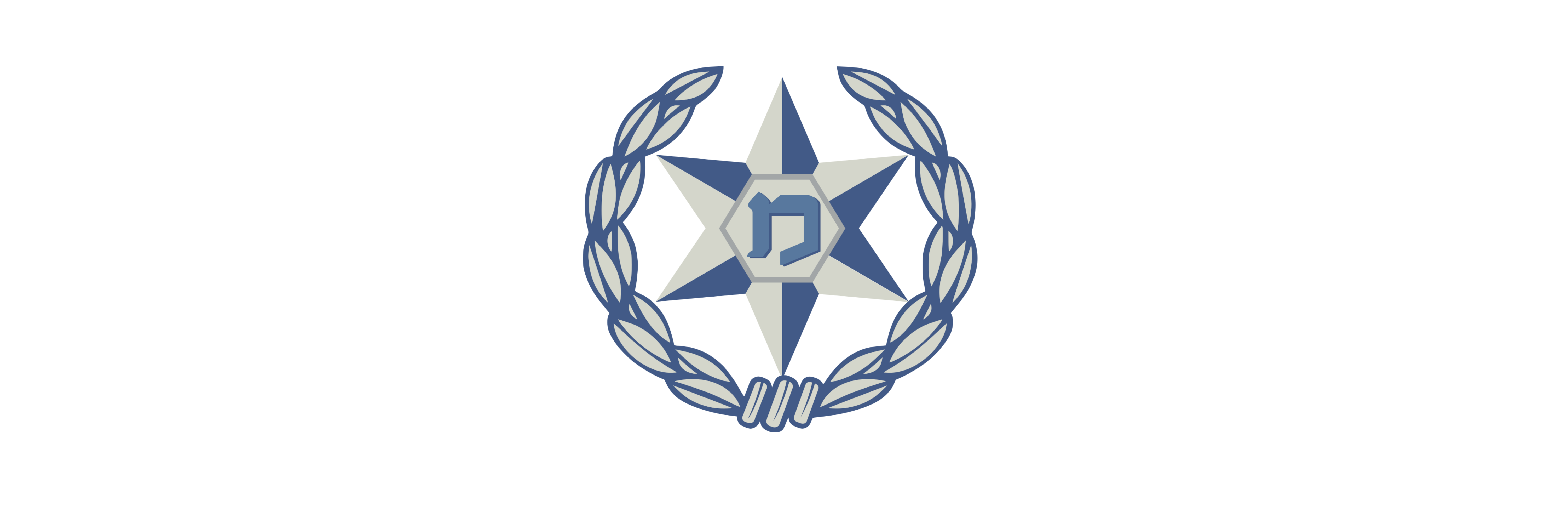 Israel Police